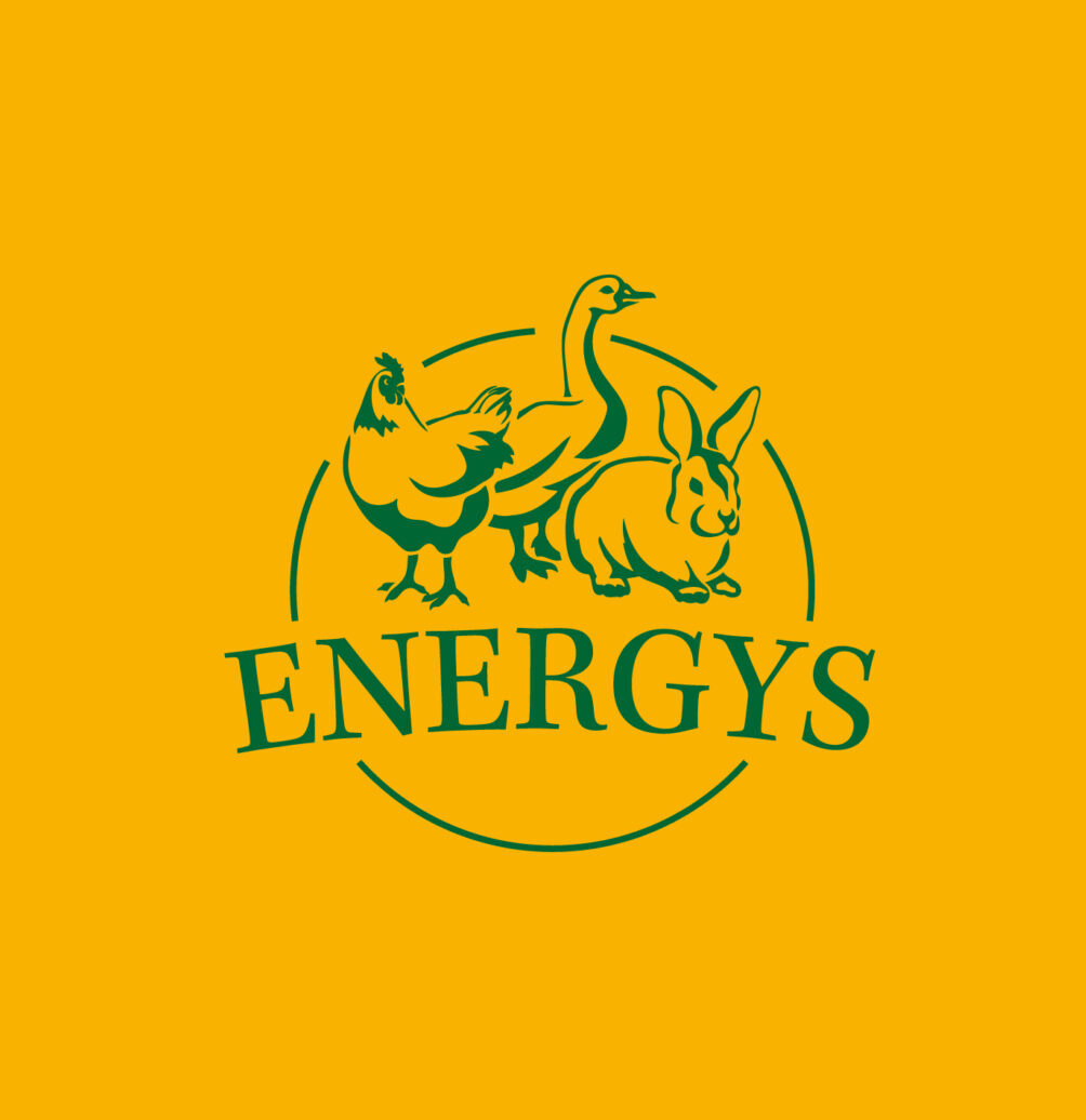 A_20170803-brand-Energys-Hobby-LOGO-scaled-e1626812160679-1